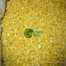 New Crop IQF Frozen Sweet Corn